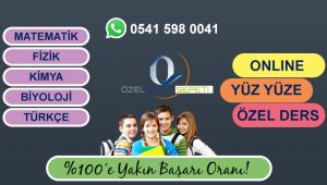 özel ders fizik