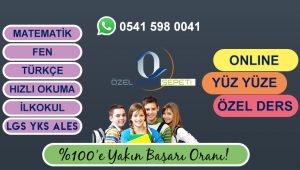 matematik özel ders manisa