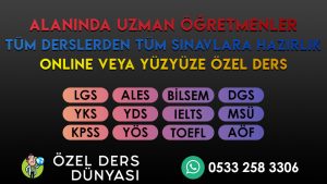 hızlı okuma kursu aydın